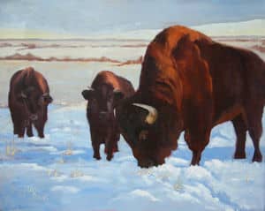 Oil painting by Ellen Lorne — Buffalo in Winter
